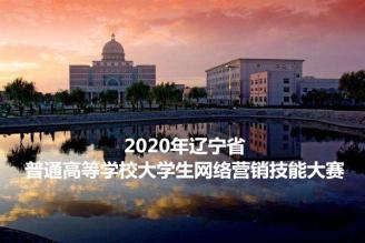 信息工程學院學子2020年遼寧省大學生網(wǎng)絡營銷技能大賽中戰(zhàn)績驕人